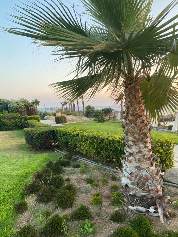 Royal Seacrest F G5 Ground Floor Apartment Paphos Buitenkant foto