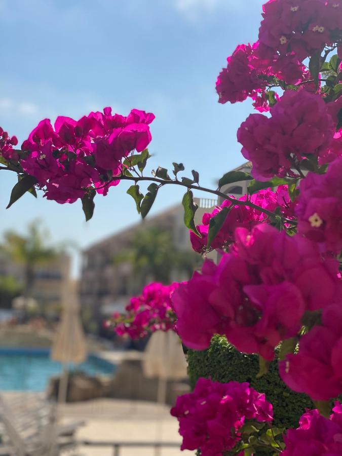 Royal Seacrest F G5 Ground Floor Apartment Paphos Buitenkant foto